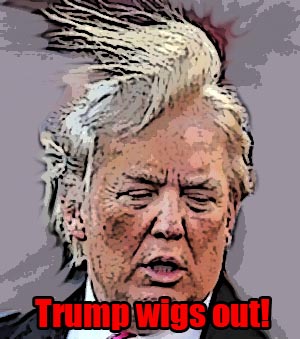 Trump_hair_02