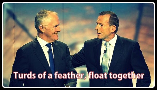Turnbull-Abbott